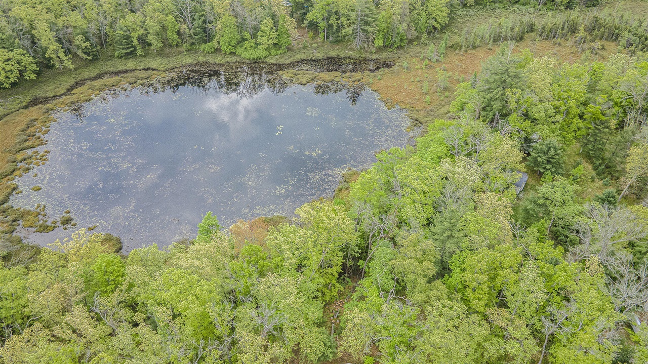 Homes for sale in Idlewild, MI | Vl S Tacoma St, Idlewild, MI 49642 | MLS# 70449921