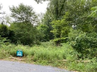 Homes for sale in Paw Paw, MI | 48681 Valley Ct Ct, Paw Paw, MI 49079 | MLS# 70450905