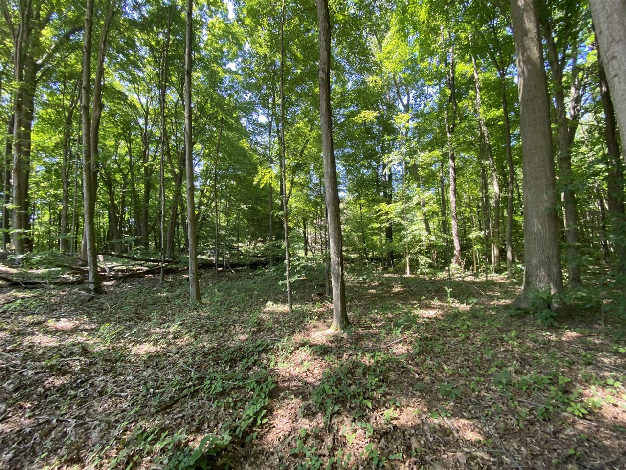 Homes for sale in South Haven, MI | 14606 Crest View Court, South Haven, MI 49090 | MLS# 70452583