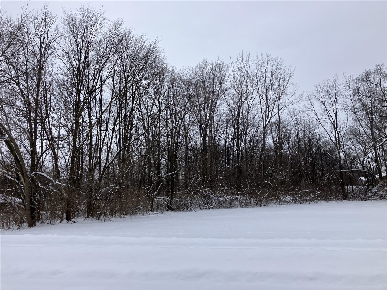 Homes for sale in Dowagiac, MI | 400 S Lowe St, Dowagiac, MI 49047 | MLS# 70453013