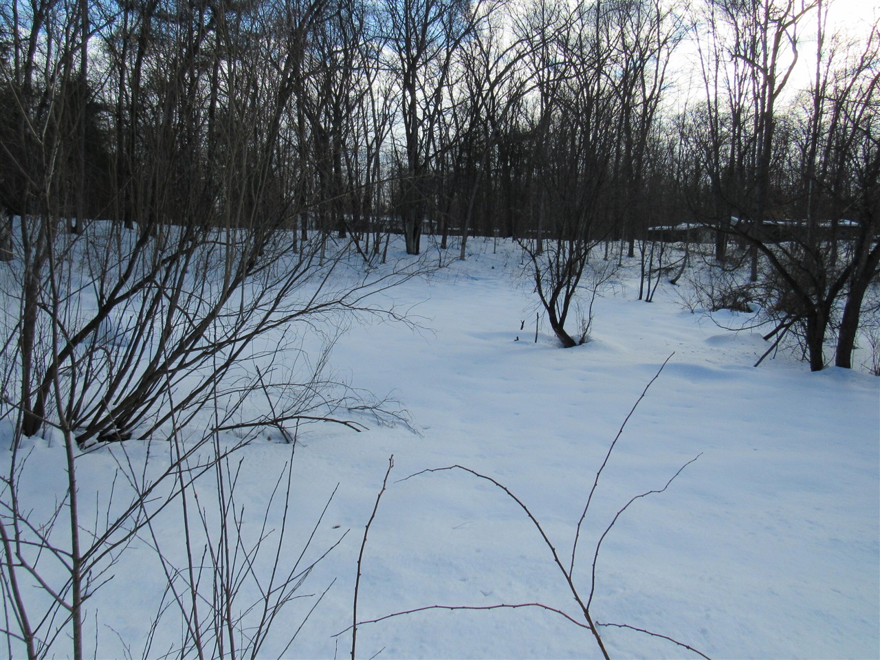 Homes for sale in Wellston, MI | V/l Marion St, Wellston, MI 49689 | MLS# 70453857