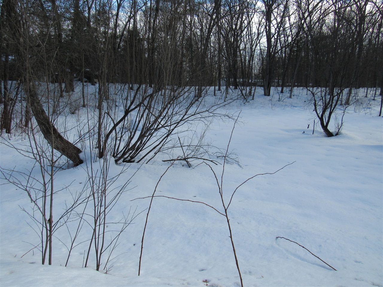 Homes for sale in Wellston, MI | V/l Marion St, Wellston, MI 49689 | MLS# 70453857