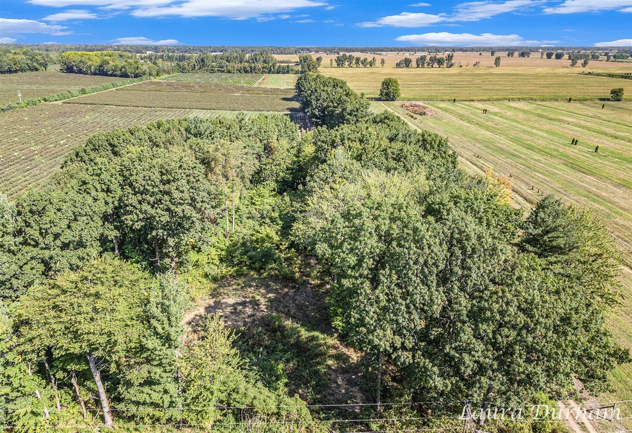 Homes for sale in West Olive, MI | 11525 Fillmore St, West Olive, MI 49460 | MLS# 70454015