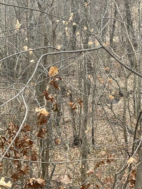 Homes for sale in Coloma, MI | 0 Wilson St, Coloma, MI 49038 | MLS# 70456344