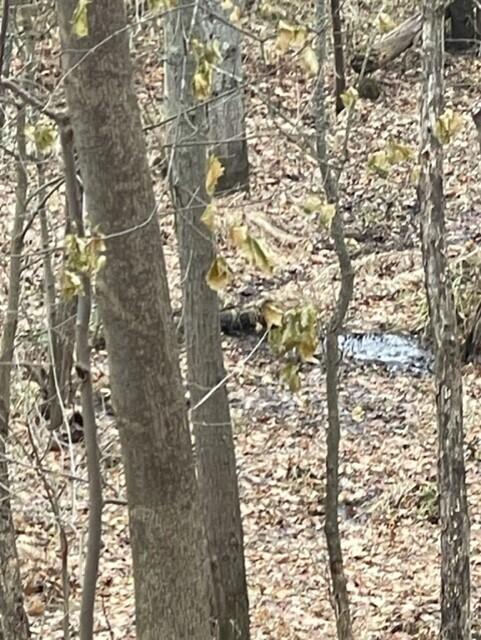 Homes for sale in Coloma, MI | 0 Wilson St, Coloma, MI 49038 | MLS# 70456344