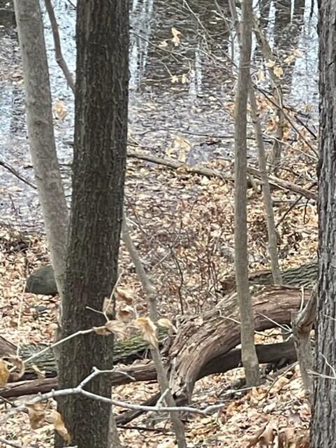 Homes for sale in Coloma, MI | 0 Wilson St, Coloma, MI 49038 | MLS# 70456344