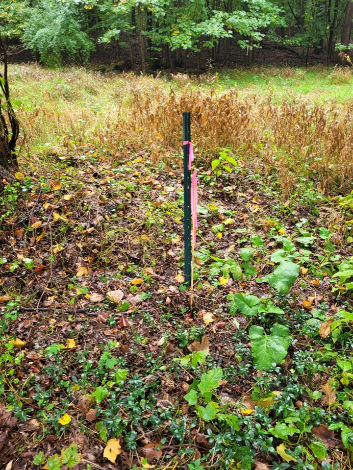 Homes for sale in Niles, MI | 1500 W Bertrand Rd, Niles, MI 49120 | MLS# 70456786