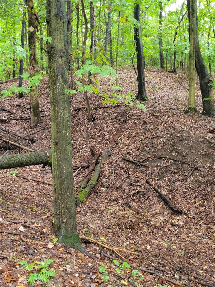 Homes for sale in Niles, MI | 1500 W Bertrand Rd, Niles, MI 49120 | MLS# 70456786