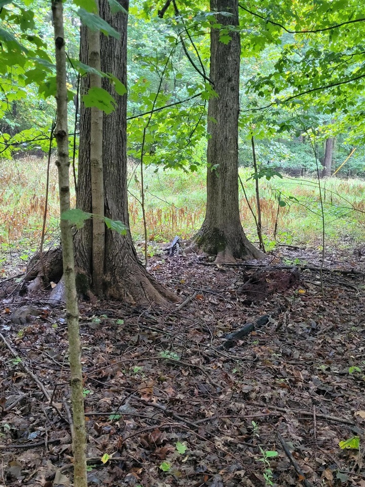 Homes for sale in Niles, MI | 1500 W Bertrand Rd, Niles, MI 49120 | MLS# 70456786