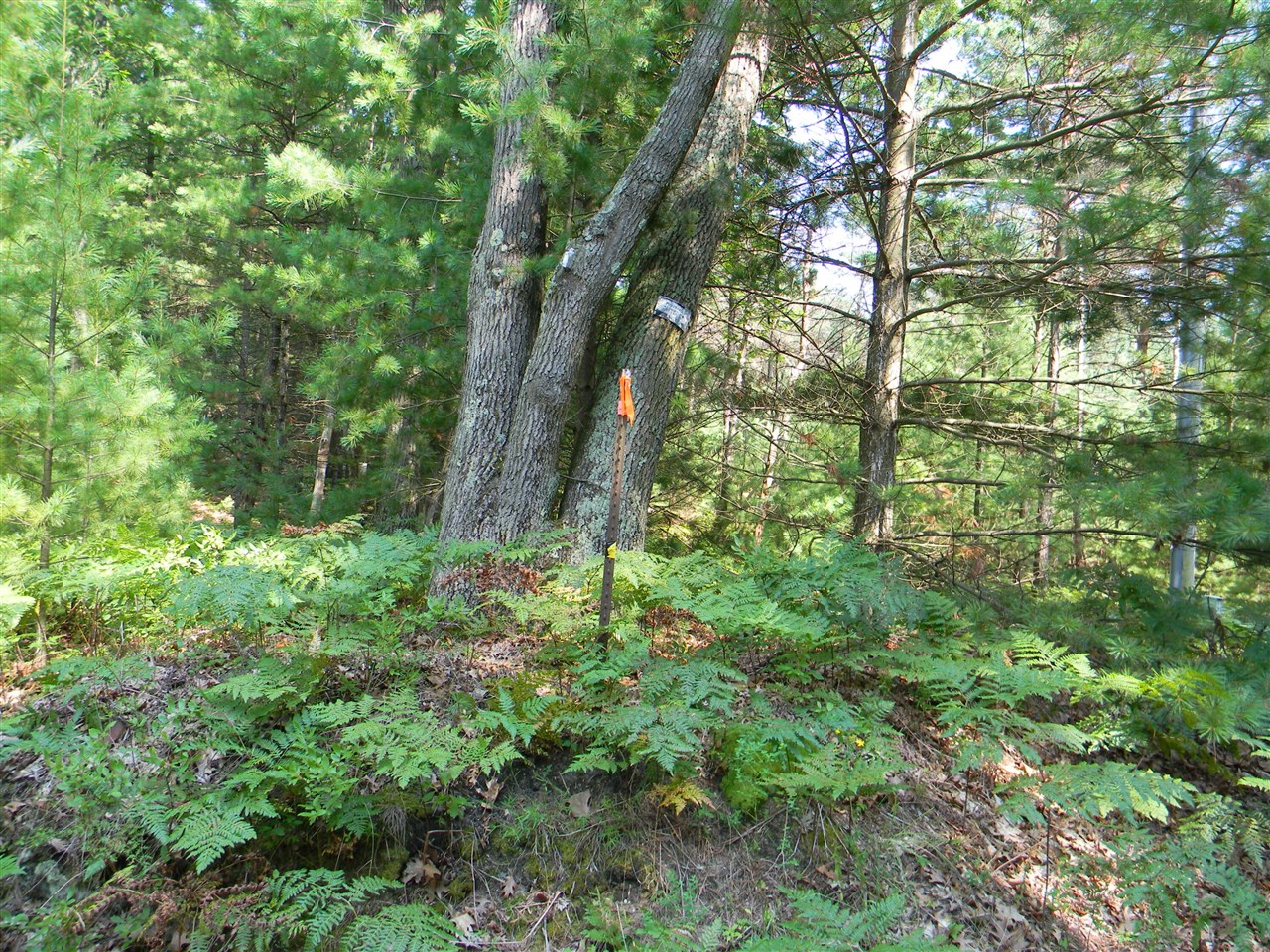 Homes for sale in Pentwater, MI | N 56th Ave, Pentwater, MI 49449 | MLS# 70457286