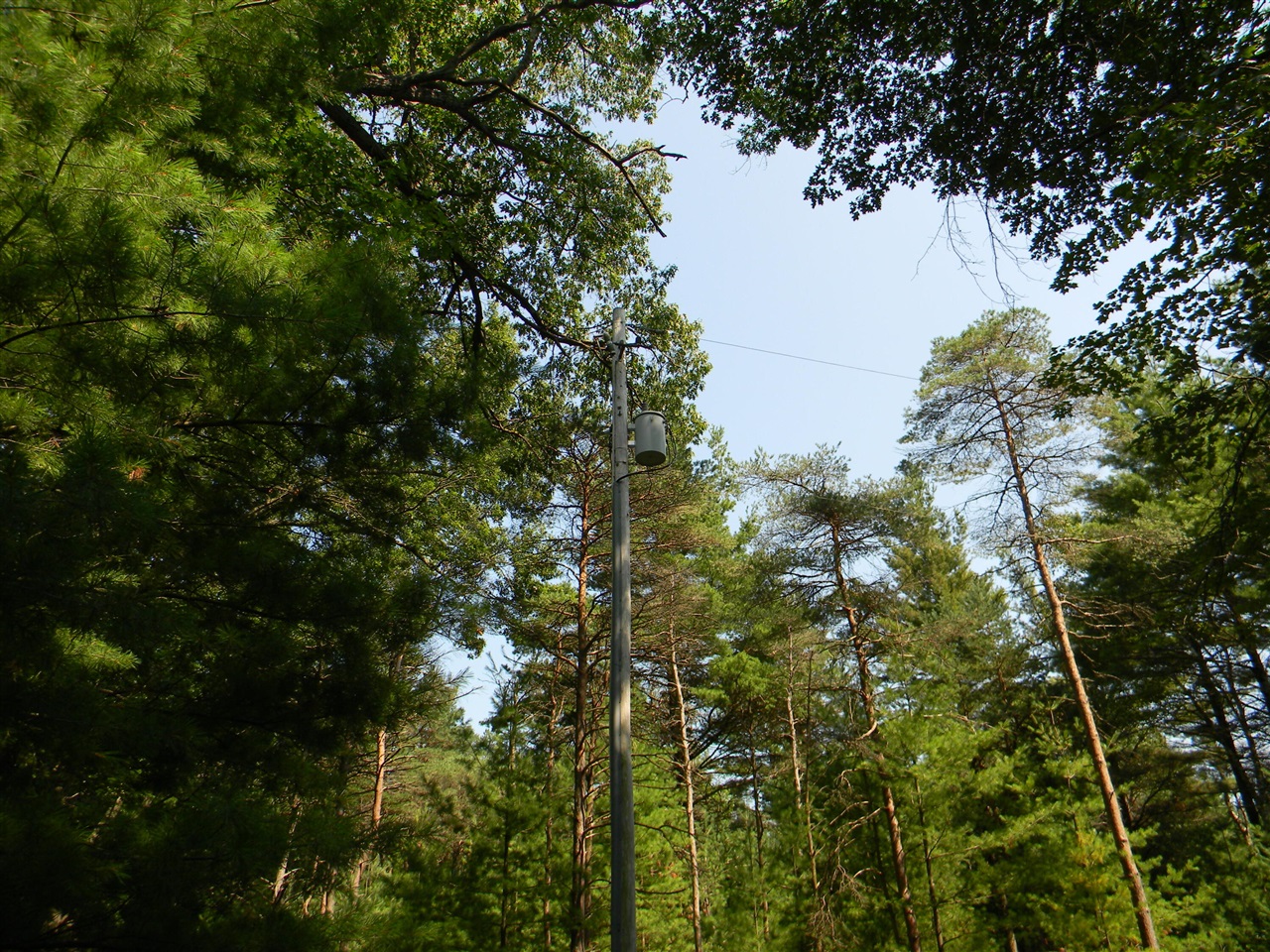 Homes for sale in Pentwater, MI | N 56Th Ave, Pentwater, MI 49449 | MLS# 70457286