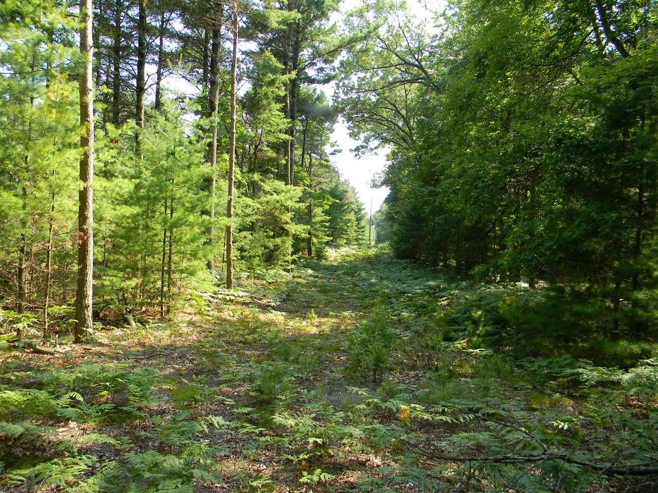 Homes for sale in Pentwater, MI | N 56Th Ave, Pentwater, MI 49449 | MLS# 70457286