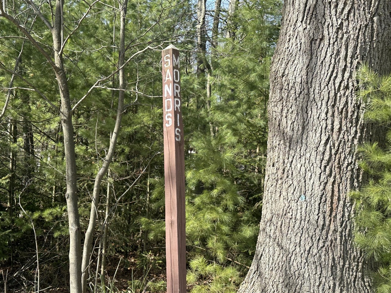 Homes for sale in Pentwater, MI | Morris St   Lot B, Pentwater, MI 49449 | MLS# 70457595