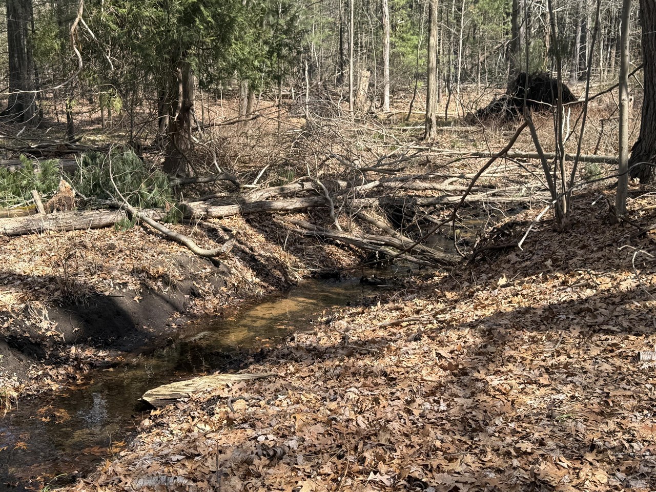 Homes for sale in Pentwater, MI | 1112 2nd St, Pentwater, MI 49449 | MLS# 70458025