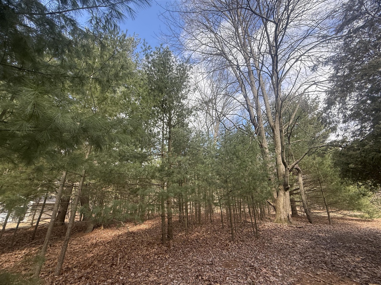 Homes for sale in Pentwater, MI | 1112 2Nd St, Pentwater, MI 49449 | MLS# 70458025