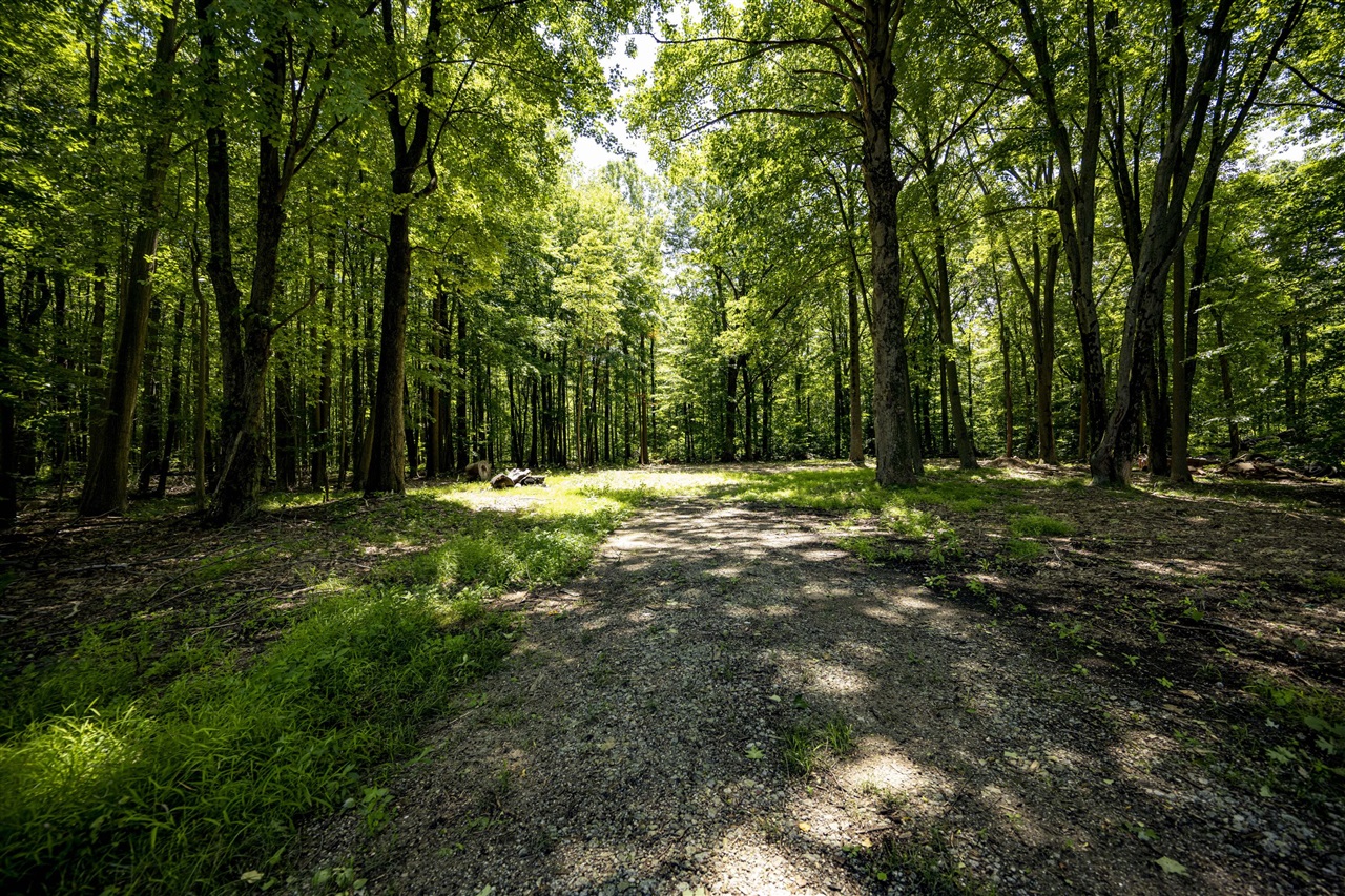 Homes for sale in Harbert, MI | 0 Youngren Rd, Harbert, MI 49115 | MLS# 70458103