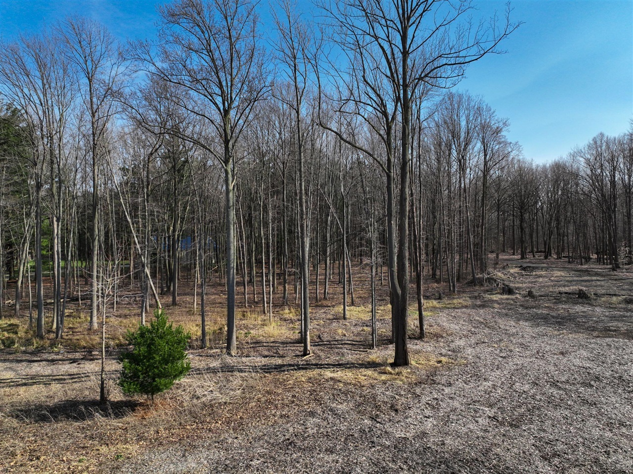 Homes for sale in Harbert, MI | 0 Youngren Rd, Harbert, MI 49115 | MLS# 70458103