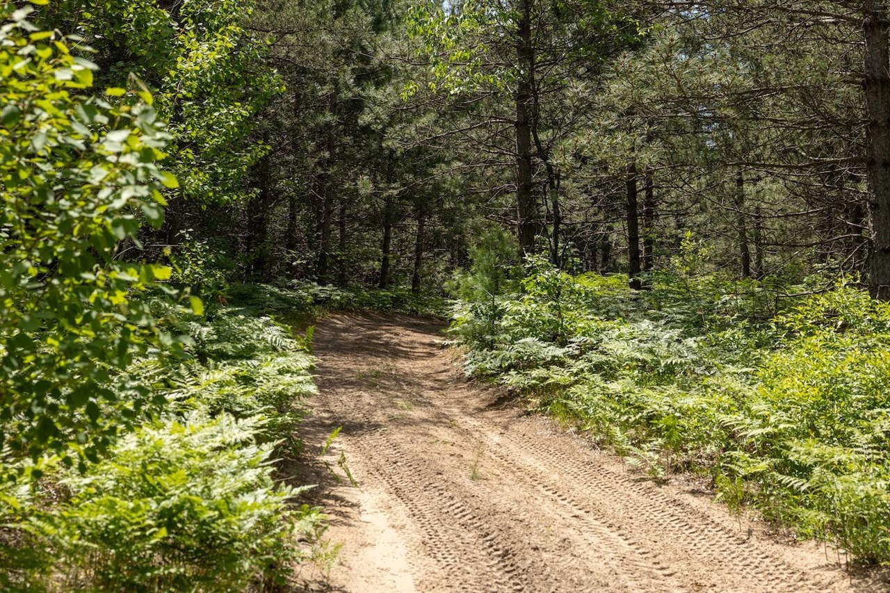 Homes for sale in Bitely, MI | 00 V/l 13 Mile Road, Bitely, MI 49309 | MLS# 70458751