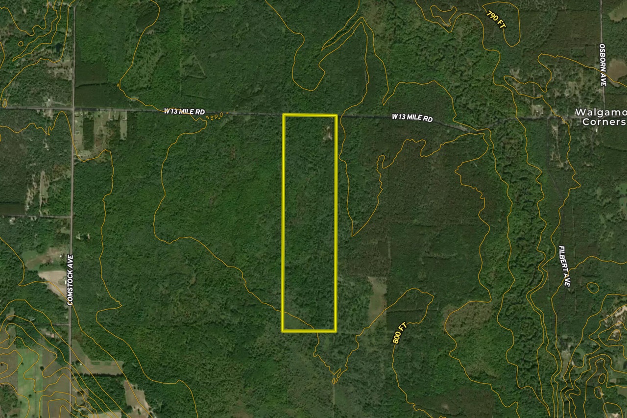 Homes for sale in Bitely, MI | 00 V/l 13 Mile Road, Bitely, MI 49309 | MLS# 70458751