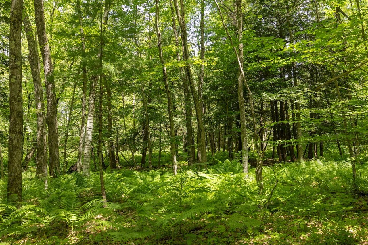 Homes for sale in Bitely, MI | 00 V/L 13 Mile Road, Bitely, MI 49309 | MLS# 70458751