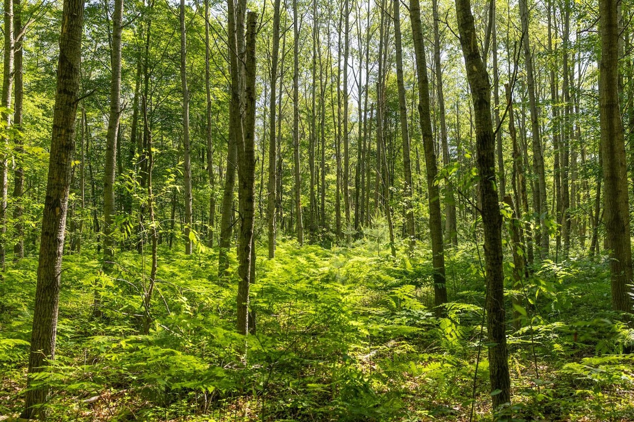 Homes for sale in Bitely, MI | 00 V/l Comstock Ave, Bitely, MI 49309 | MLS# 70458757