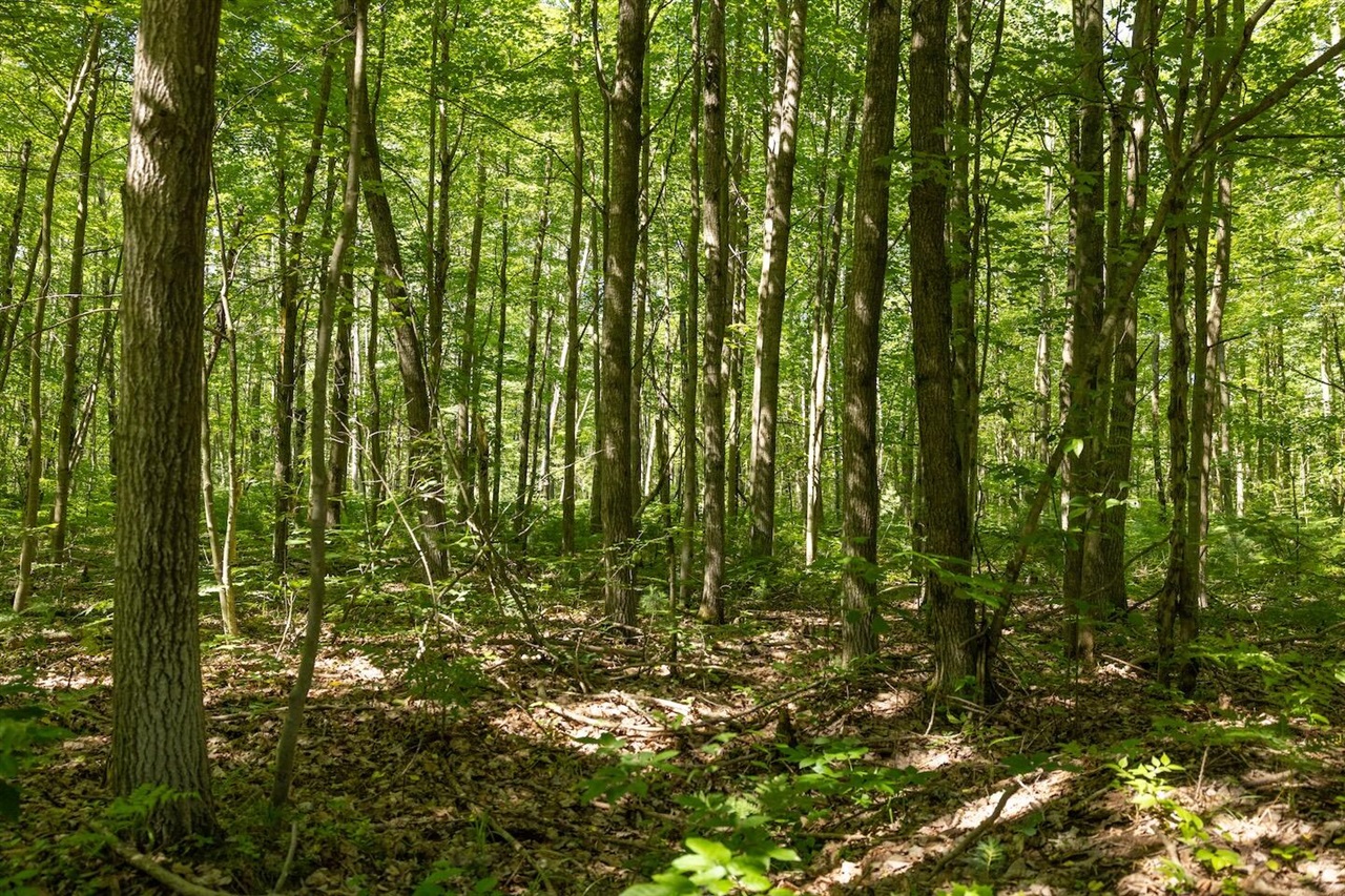 Homes for sale in Bitely, MI | 00 V/L Comstock Ave, Bitely, MI 49309 | MLS# 70458757