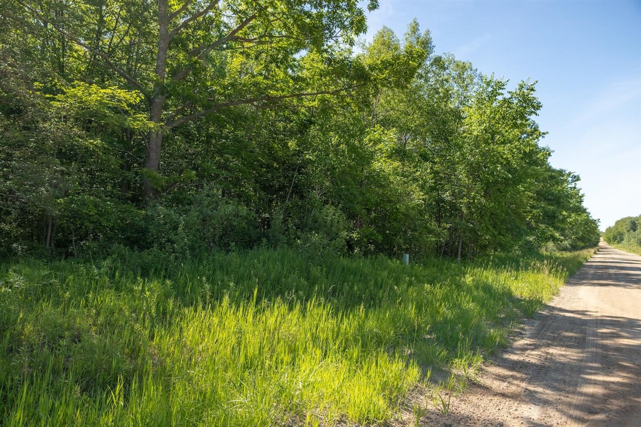 Homes for sale in Bitely, MI | 00 V/L Comstock Ave, Bitely, MI 49309 | MLS# 70458757