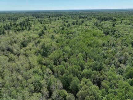 Homes for sale in Bitely, MI | 0 V/l W 13 Mile Rd, Bitely, MI 49309 | MLS# 70458854