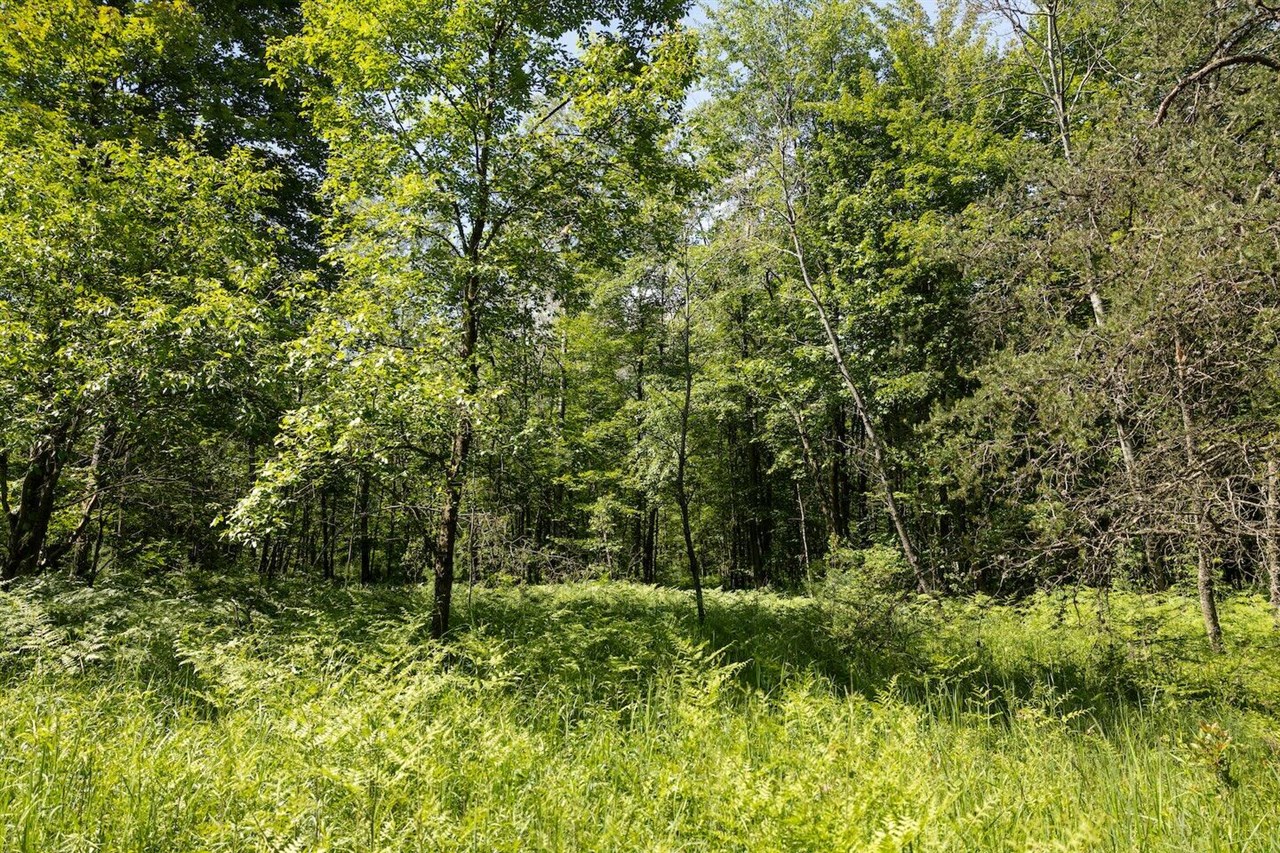 Homes for sale in Bitely, MI | 0 V/L W 13 Mile Rd, Bitely, MI 49309 | MLS# 70458854