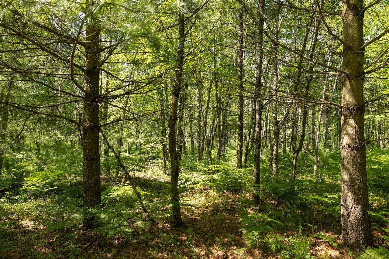 Homes for sale in Bitely, MI | 0 V/L W 13 Mile Rd, Bitely, MI 49309 | MLS# 70458854