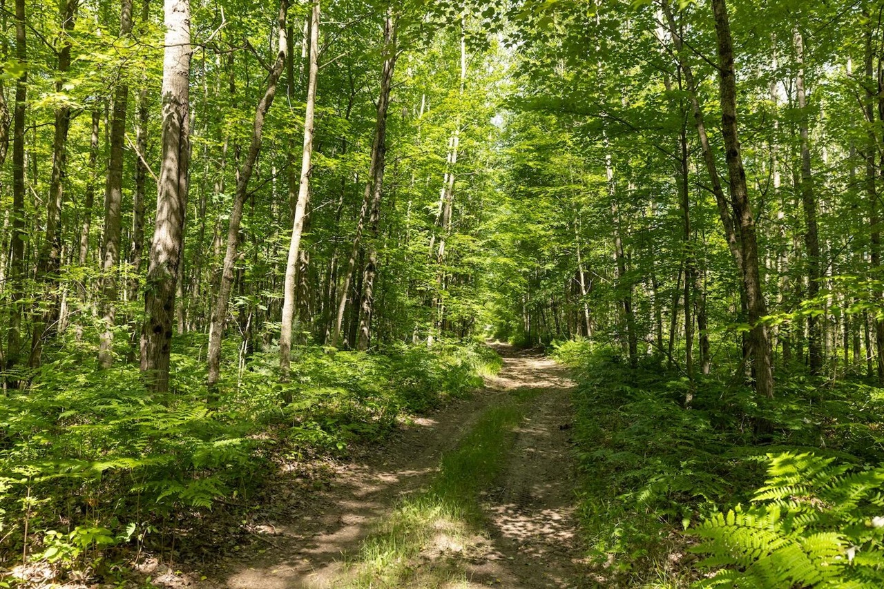 Homes for sale in Bitely, MI | 0 V/L W 13 Mile Rd, Bitely, MI 49309 | MLS# 70458854