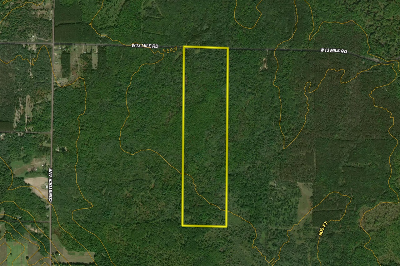 Homes for sale in Bitely, MI | 000 V/l 13 Mile Rd, Bitely, MI 49309 | MLS# 70458855