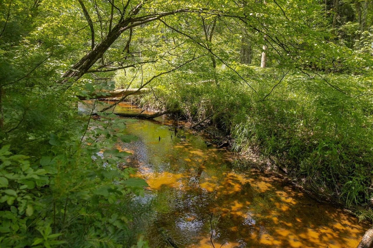 Homes for sale in Bitely, MI | 000 V/L 13 Mile Rd, Bitely, MI 49309 | MLS# 70458855