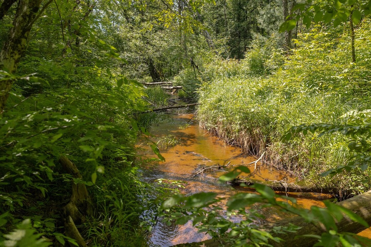 Homes for sale in Bitely, MI | 000 V/L 13 Mile Rd, Bitely, MI 49309 | MLS# 70458855