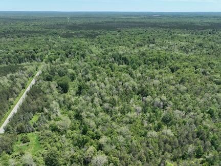 Homes for sale in Bitely, MI | 000 V/L 13 Mile Rd, Bitely, MI 49309 | MLS# 70458855