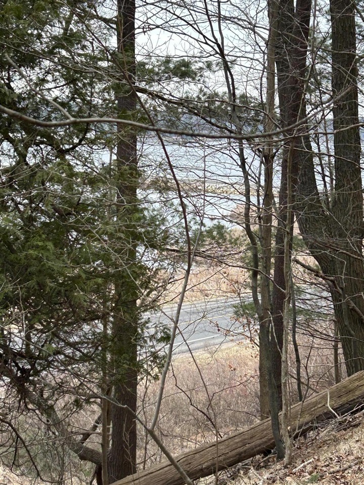 Homes for sale in Pentwater, MI | V/l Smugglers Pass Lot 15, Pentwater, MI 49449 | MLS# 70459191