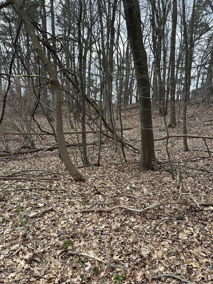 Homes for sale in Pentwater, MI | V/L Smugglers Pass Lot 15, Pentwater, MI 49449 | MLS# 70459191