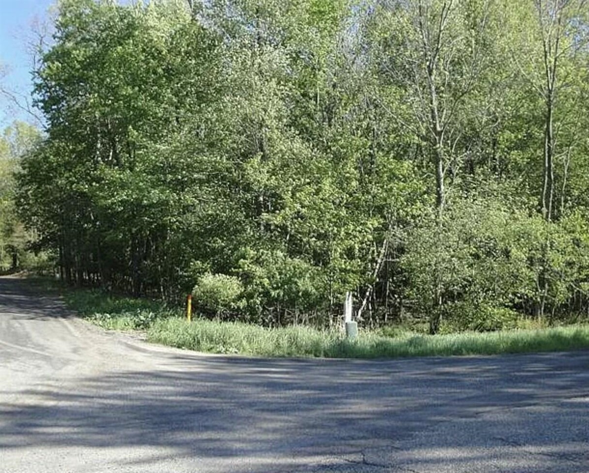 Homes for sale in Pentwater, MI | Lot 124 Longbridge, Pentwater, MI 49449 | MLS# 70459552