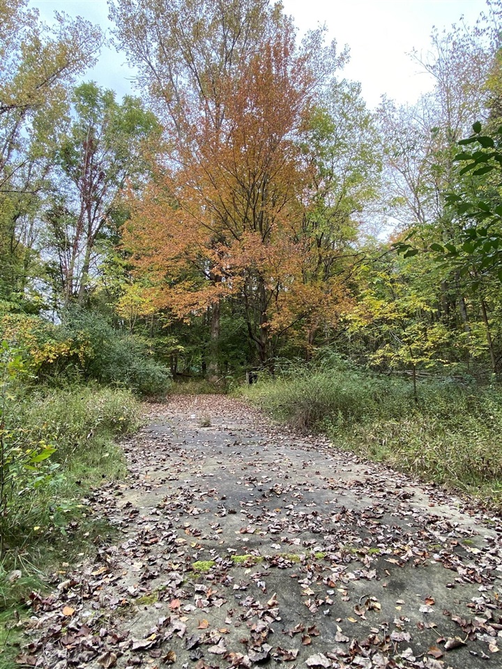 Homes for sale in Grand Junction, MI | 10005 50th St, Grand Junction, MI 49056 | MLS# 70460393