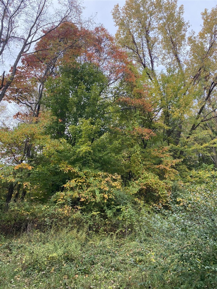 Homes for sale in Grand Junction, MI | 10005 50th St, Grand Junction, MI 49056 | MLS# 70460393