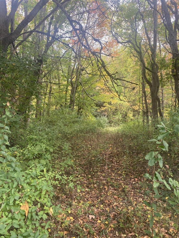 Homes for sale in Grand Junction, MI | 10005 50Th St, Grand Junction, MI 49056 | MLS# 70460393