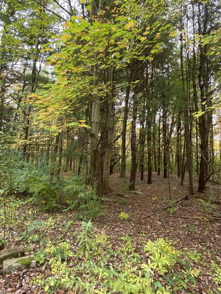 Homes for sale in Grand Junction, MI | 10005 50Th St, Grand Junction, MI 49056 | MLS# 70460393