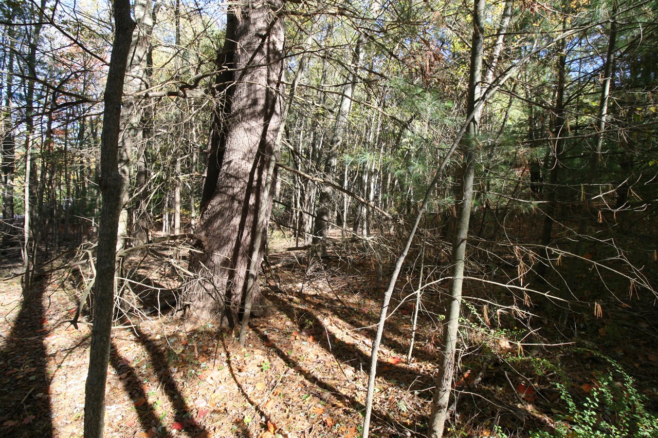 Homes for sale in South Haven, MI | B1 111Th Ave, South Haven, MI 49090 | MLS# 70460842