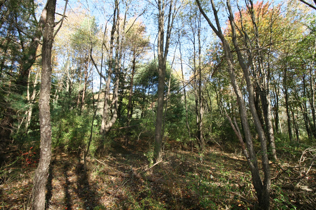 Homes for sale in South Haven, MI | C3 70Th Street, South Haven, MI 49090 | MLS# 70460848