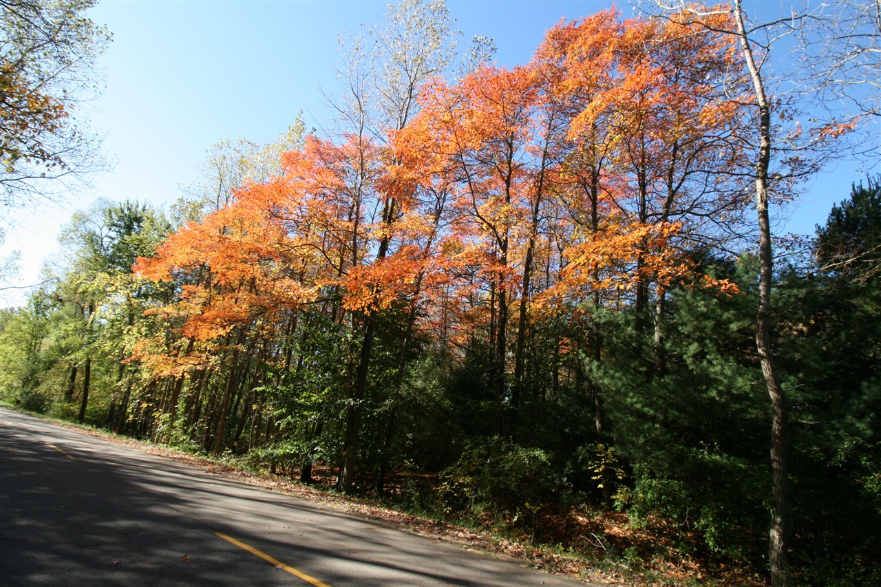 Homes for sale in South Haven, MI | D2 70th St, South Haven, MI 49090 | MLS# 70460851