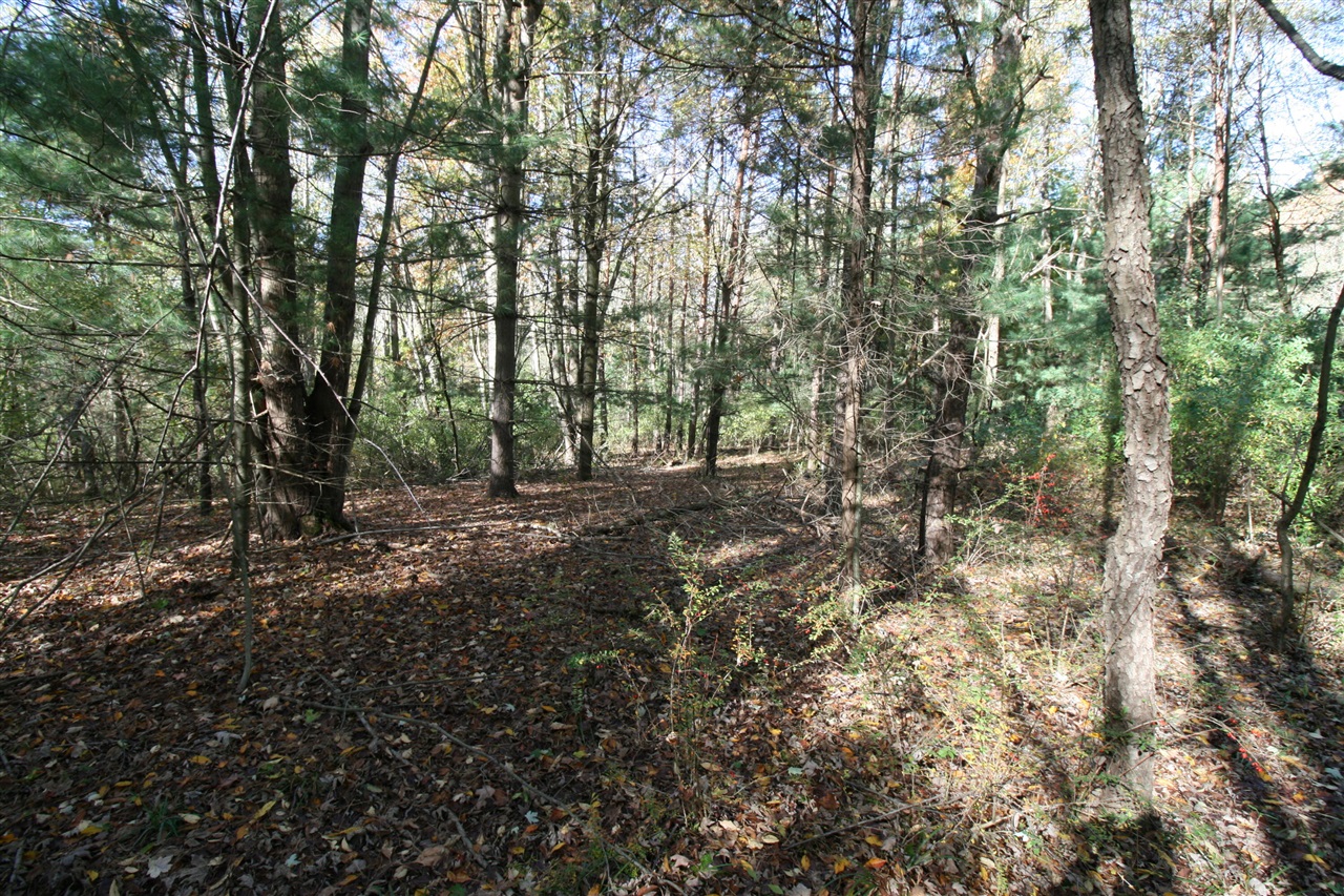 Homes for sale in South Haven, MI | D2 70Th St, South Haven, MI 49090 | MLS# 70460851