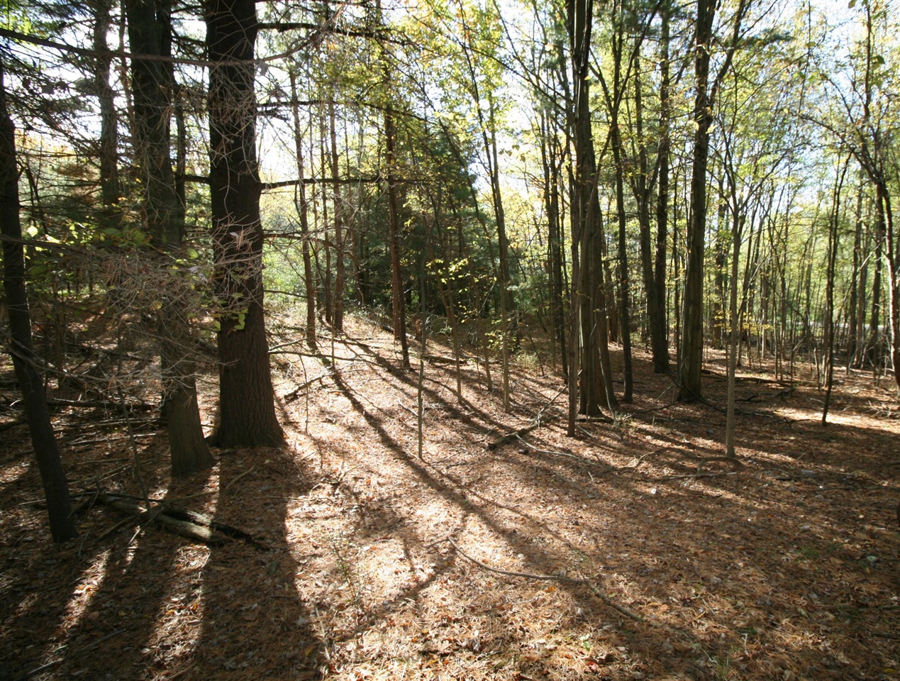 Homes for sale in South Haven, MI | D2 70th St, South Haven, MI 49090 | MLS# 70460851