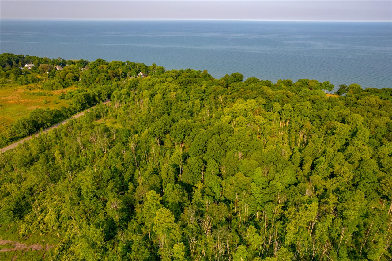 Homes for sale in Douglas, MI | 0 Wiley Rd, Douglas, MI 49406 | MLS# 70462389