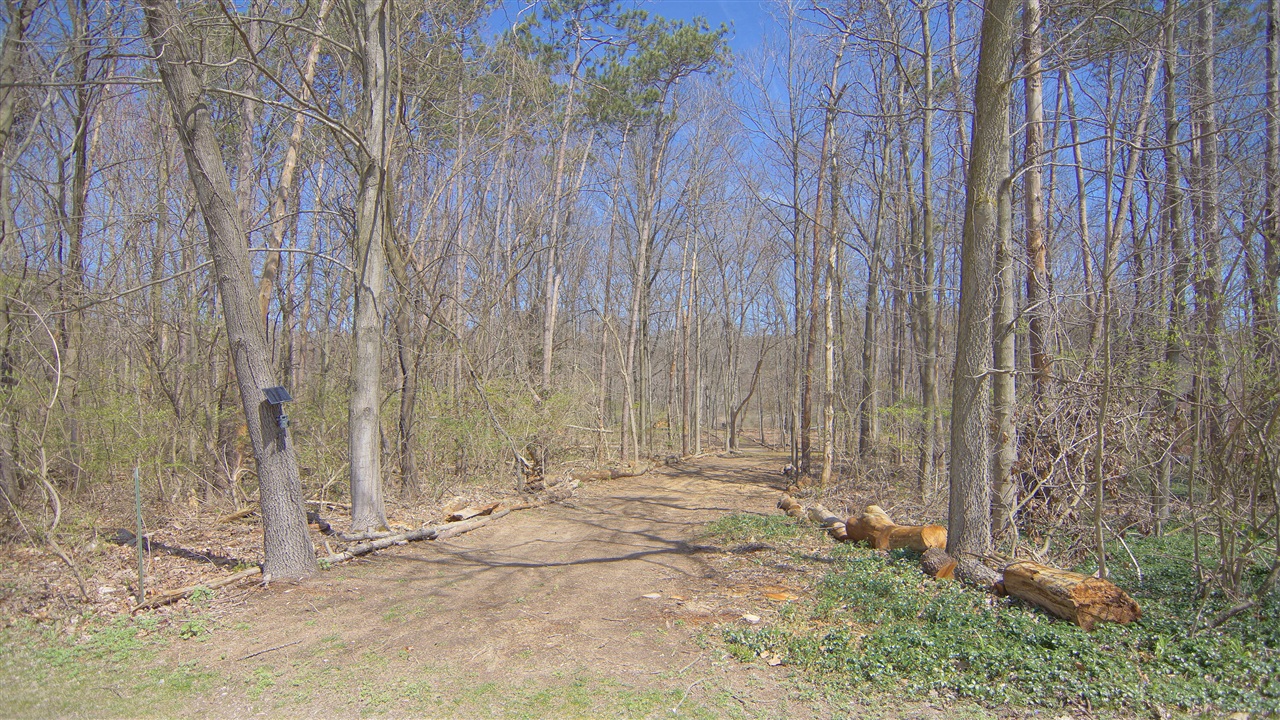 Homes for sale in Buchanan, MI | 4336 Hills Haven Rd, Buchanan, MI 49107 | MLS# 70462442