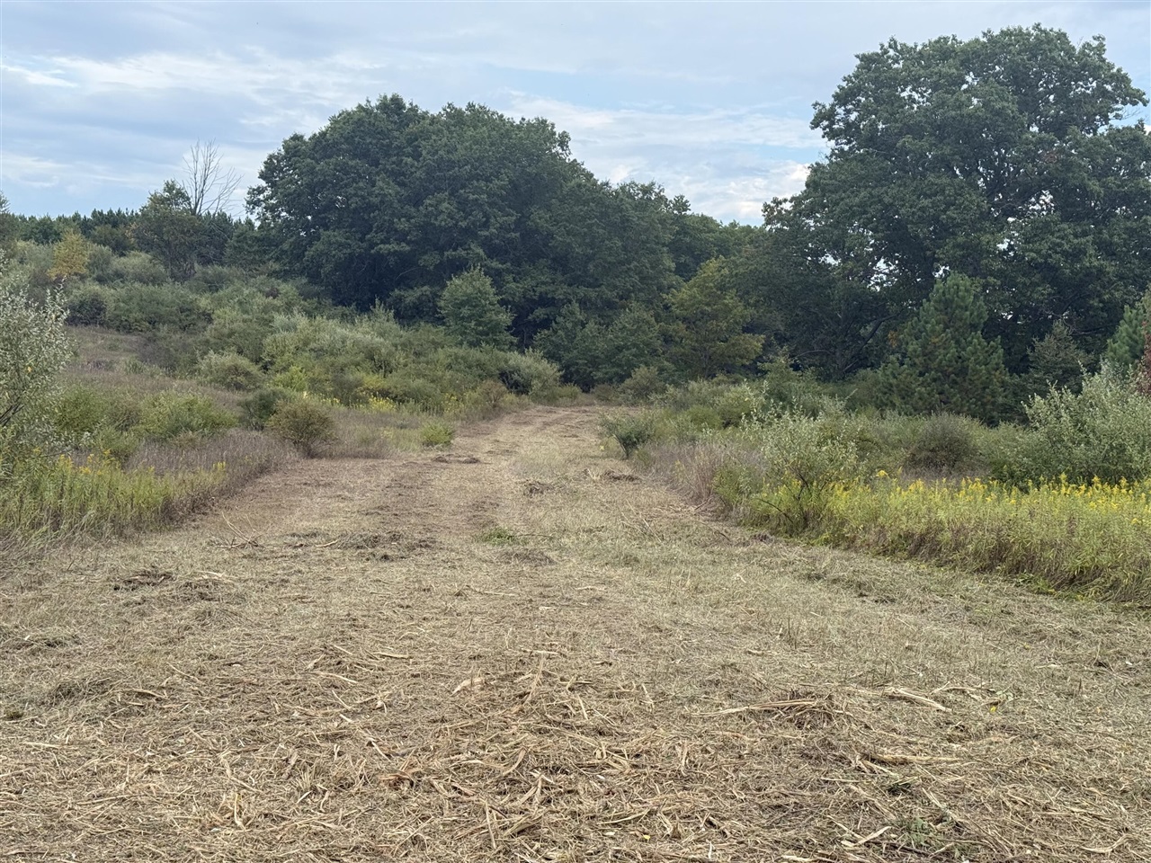 Homes for sale in Remus, MI | 13384 Swistier Dr, Remus, MI 49340 | MLS# 70463654